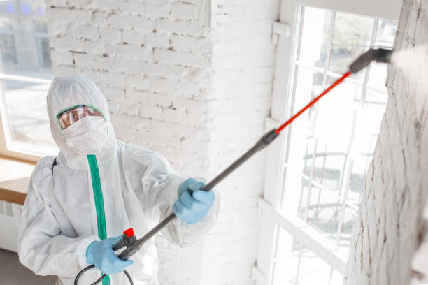  Avon By The Sea, NJ Mold Removal Pros