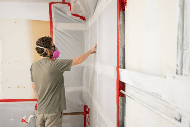 Best Mold Odor Removal Services  in Avon By The Sea, NJ