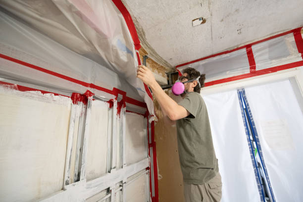 Dehumidification Services in Avon By The Sea, NJ